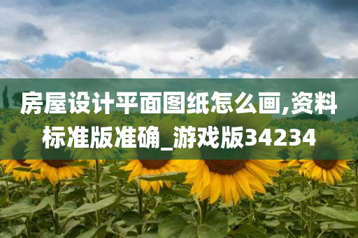 房屋设计平面图纸怎么画,资料标准版准确_游戏版34234