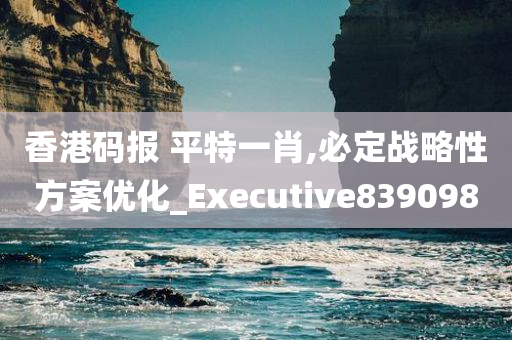 香港码报 平特一肖,必定战略性方案优化_Executive839098