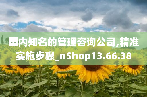 国内知名的管理咨询公司,精准实施步骤_nShop13.66.38