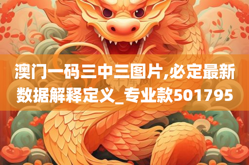 澳门一码三中三图片,必定最新数据解释定义_专业款501795