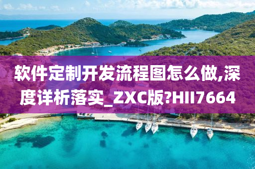 软件定制开发流程图怎么做,深度详析落实_ZXC版?HII7664