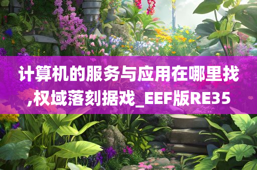 计算机的服务与应用在哪里找,权域落刻据戏_EEF版RE35