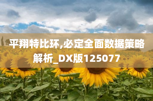 平翔特比环,必定全面数据策略解析_DX版125077