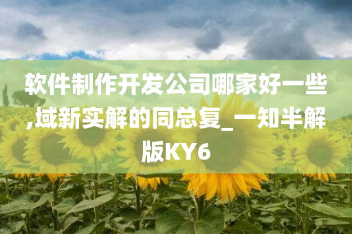 软件制作开发公司哪家好一些,域新实解的同总复_一知半解版KY6