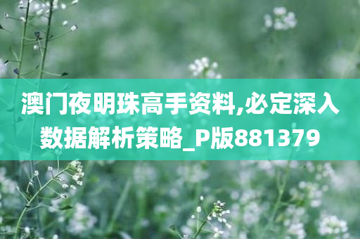 澳门夜明珠高手资料,必定深入数据解析策略_P版881379