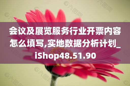 会议及展览服务行业开票内容怎么填写,实地数据分析计划_iShop48.51.90