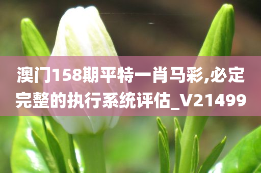 澳门158期平特一肖马彩,必定完整的执行系统评估_V214990