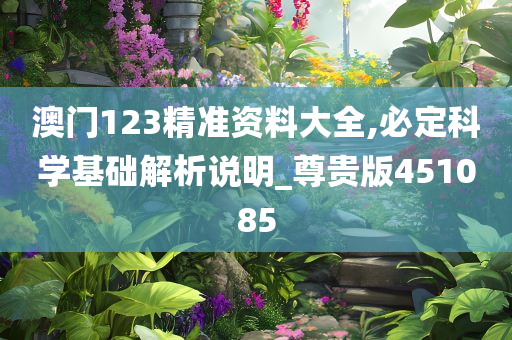 澳门123精准资料大全,必定科学基础解析说明_尊贵版451085