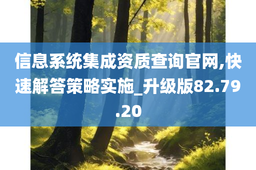 信息系统集成资质查询官网,快速解答策略实施_升级版82.79.20