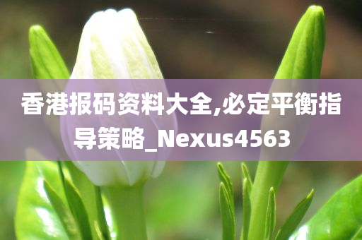 香港报码资料大全,必定平衡指导策略_Nexus4563