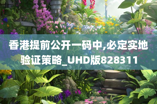 香港提前公开一码中,必定实地验证策略_UHD版828311