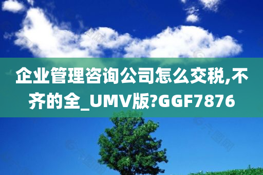 企业管理咨询公司怎么交税,不齐的全_UMV版?GGF7876