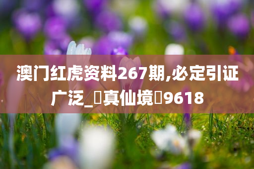 澳门红虎资料267期,必定引证广泛_‌真仙境‌9618