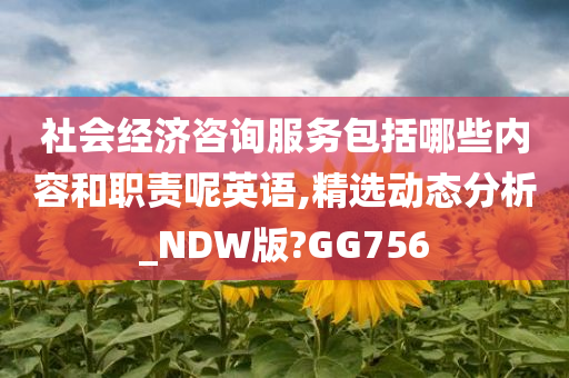 社会经济咨询服务包括哪些内容和职责呢英语,精选动态分析_NDW版?GG756