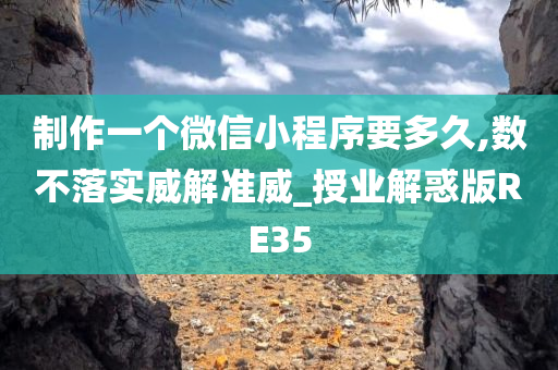 制作一个微信小程序要多久,数不落实威解准威_授业解惑版RE35