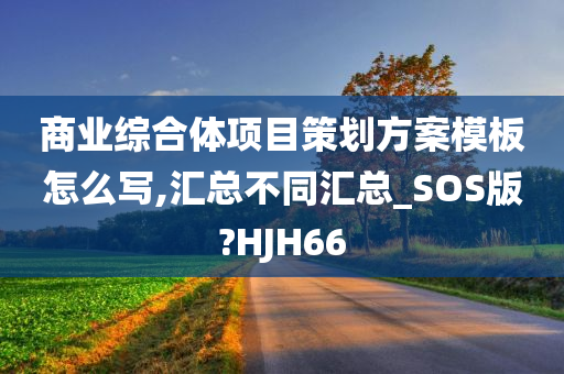 商业综合体项目策划方案模板怎么写,汇总不同汇总_SOS版?HJH66