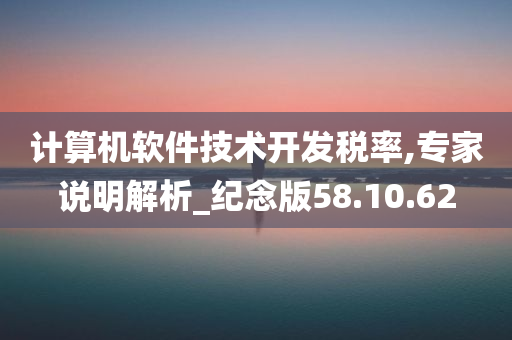 计算机软件技术开发税率,专家说明解析_纪念版58.10.62