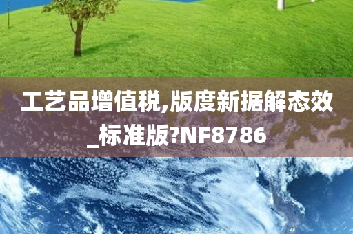 工艺品增值税,版度新据解态效_标准版?NF8786