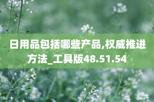 日用品包括哪些产品,权威推进方法_工具版48.51.54