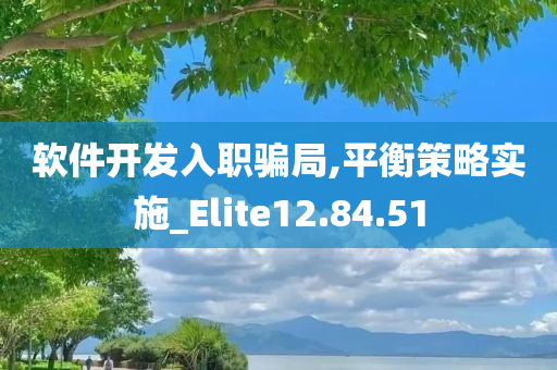 软件开发入职骗局,平衡策略实施_Elite12.84.51