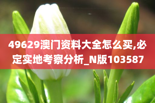 49629澳门资料大全怎么买,必定实地考察分析_N版103587