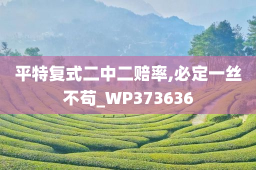 平特复式二中二赔率,必定一丝不苟_WP373636