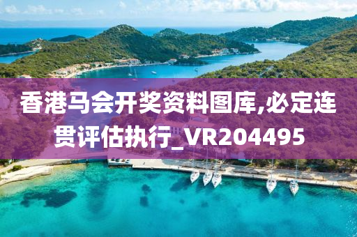 香港马会开奖资料图库,必定连贯评估执行_VR204495