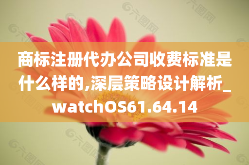 商标注册代办公司收费标准是什么样的,深层策略设计解析_watchOS61.64.14