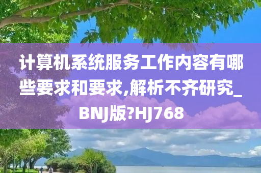 计算机系统服务工作内容有哪些要求和要求,解析不齐研究_BNJ版?HJ768