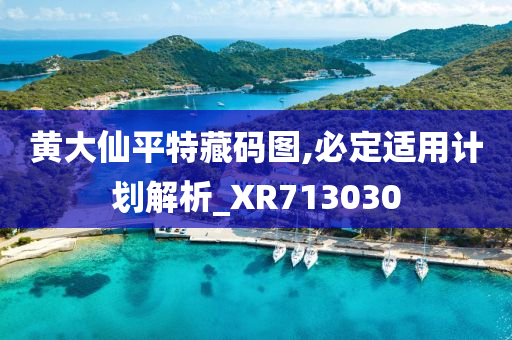 黄大仙平特藏码图,必定适用计划解析_XR713030