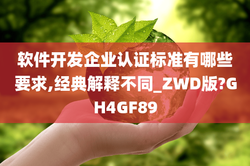 软件开发企业认证标准有哪些要求,经典解释不同_ZWD版?GH4GF89