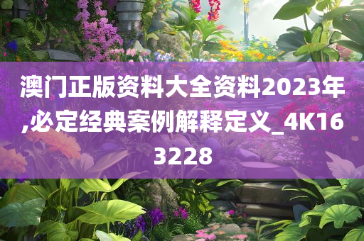 澳门正版资料大全资料2023年,必定经典案例解释定义_4K163228