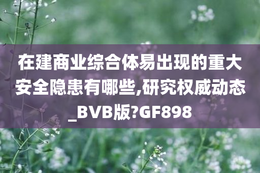 在建商业综合体易出现的重大安全隐患有哪些,研究权威动态_BVB版?GF898