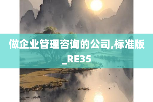 做企业管理咨询的公司,标准版_RE35