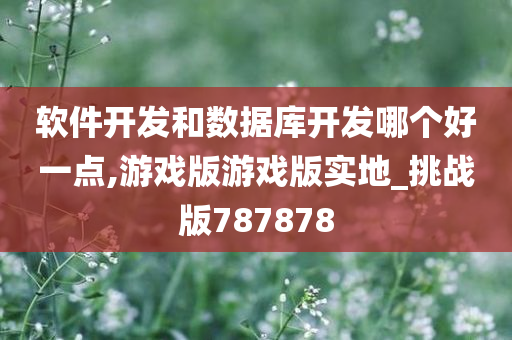 软件开发和数据库开发哪个好一点,游戏版游戏版实地_挑战版787878