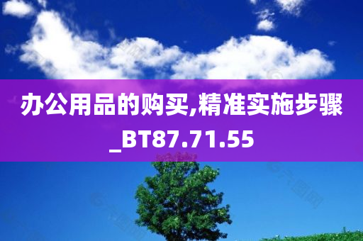 办公用品的购买,精准实施步骤_BT87.71.55