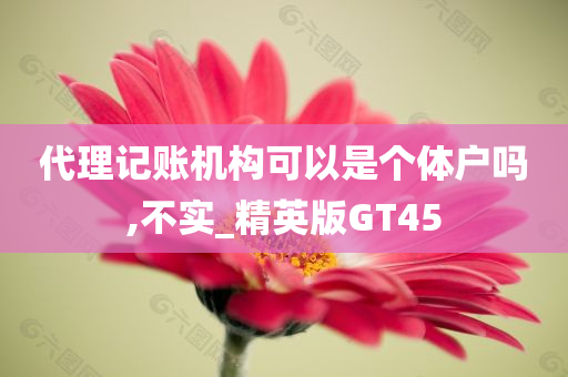 代理记账机构可以是个体户吗,不实_精英版GT45