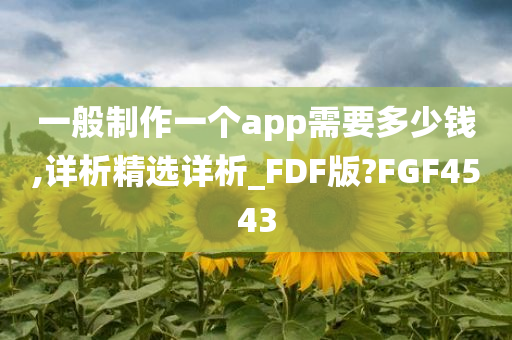 一般制作一个app需要多少钱,详析精选详析_FDF版?FGF4543