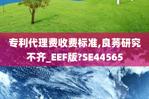 专利代理费收费标准,良莠研究不齐_EEF版?SE44565