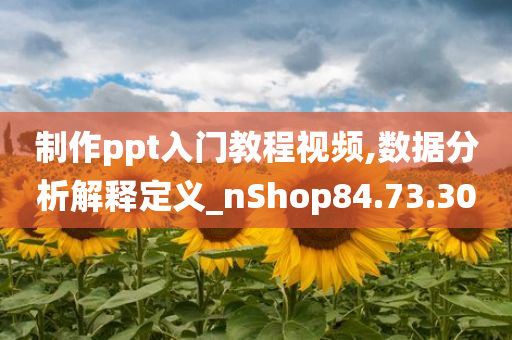 制作ppt入门教程视频,数据分析解释定义_nShop84.73.30