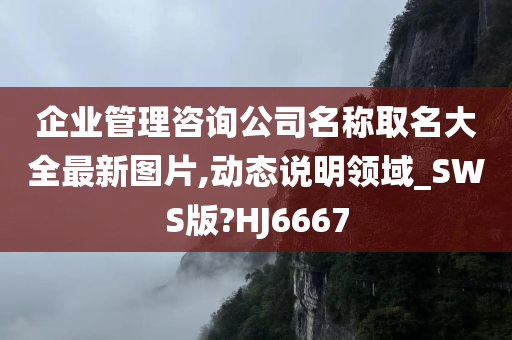 企业管理咨询公司名称取名大全最新图片,动态说明领域_SWS版?HJ6667