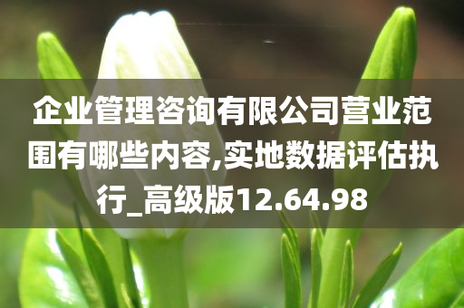 企业管理咨询有限公司营业范围有哪些内容,实地数据评估执行_高级版12.64.98