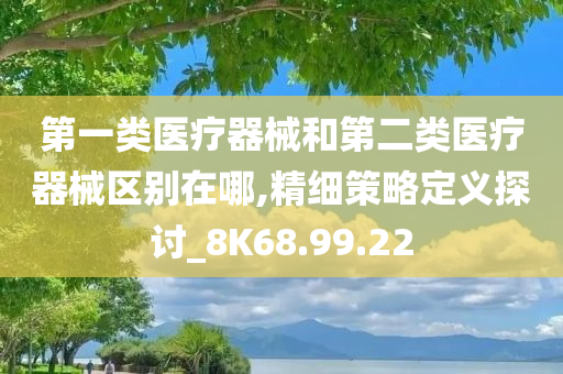 第一类医疗器械和第二类医疗器械区别在哪,精细策略定义探讨_8K68.99.22