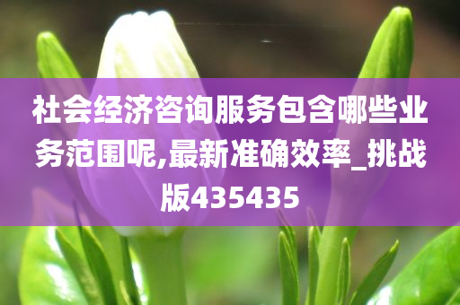 社会经济咨询服务包含哪些业务范围呢,最新准确效率_挑战版435435