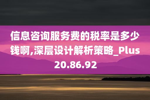 信息咨询服务费的税率是多少钱啊,深层设计解析策略_Plus20.86.92