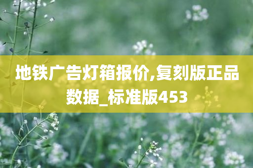 地铁广告灯箱报价,复刻版正品数据_标准版453