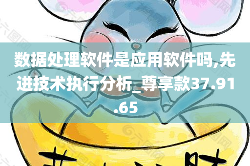 数据处理软件是应用软件吗,先进技术执行分析_尊享款37.91.65