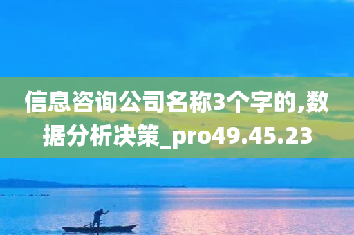 信息咨询公司名称3个字的,数据分析决策_pro49.45.23