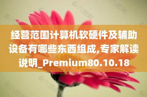 经营范围计算机软硬件及辅助设备有哪些东西组成,专家解读说明_Premium80.10.18