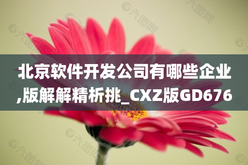 北京软件开发公司有哪些企业,版解解精析挑_CXZ版GD676